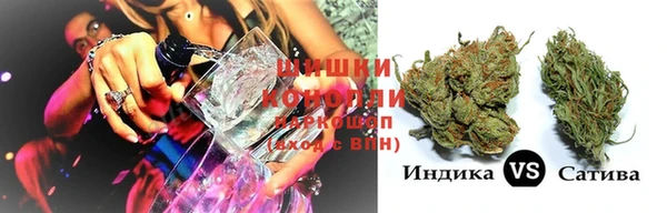 PSILOCYBIN Пересвет
