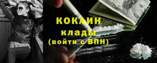 PSILOCYBIN Пересвет